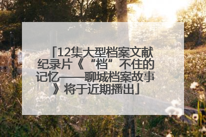 12集大型档案文献纪录片《“档”不住的记忆——聊城档案故事》将于近期播出