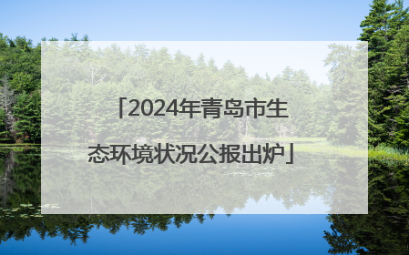2024年青岛市生态环境状况公报出炉
