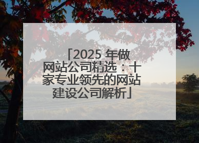 2025 年做网站公司精选：十家专业领先的网站建设公司解析