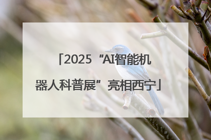 2025“AI智能机器人科普展”亮相西宁