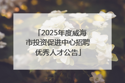 2025年度威海市投资促进中心招聘优秀人才公告