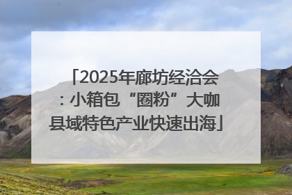 2025年廊坊经洽会：小箱包“圈粉”大咖 县域特色产业快速出海