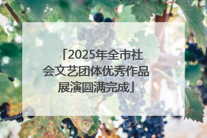 2025年全市社会文艺团体优秀作品展演圆满完成