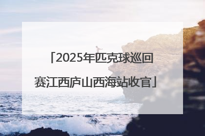 2025年匹克球巡回赛江西庐山西海站收官