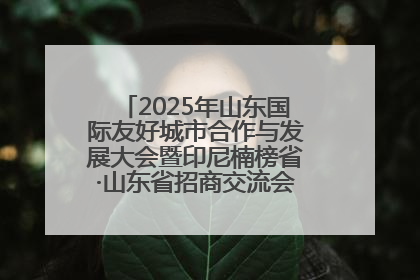 2025年山东国际友好城市合作与发展大会暨印尼楠榜省·山东省招商交流会在济南槐荫举行