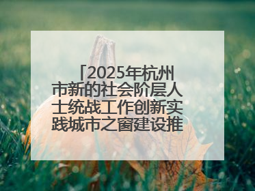 2025年杭州市新的社会阶层人士统战工作创新实践城市之窗建设推进会在拱墅召开