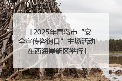 2025年青岛市“安全宣传咨询日”主场活动在西海岸新区举行