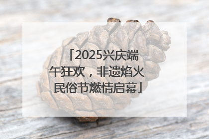 2025兴庆端午狂欢，非遗焰火民俗节燃情启幕