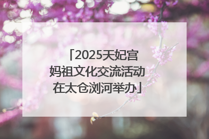2025天妃宫妈祖文化交流活动在太仓浏河举办