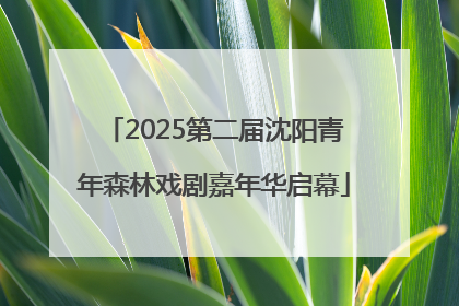 2025第二届沈阳青年森林戏剧嘉年华启幕