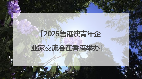 2025鲁港澳青年企业家交流会在香港举办
