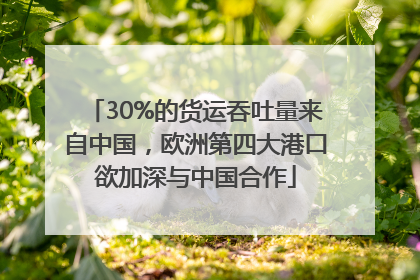 30%的货运吞吐量来自中国，欧洲第四大港口欲加深与中国合作