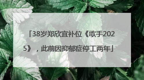 38岁郑欣宜补位《歌手2025》，此前因抑郁症停工两年