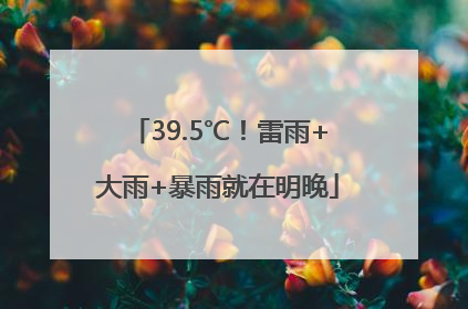 39.5℃！雷雨+大雨+暴雨就在明晚