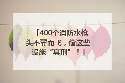 400个消防水枪头不翼而飞，偷这些设施“真刑”！