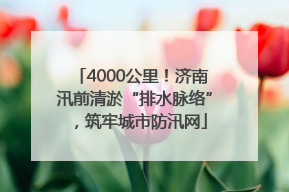 4000公里！济南汛前清淤“排水脉络”，筑牢城市防汛网