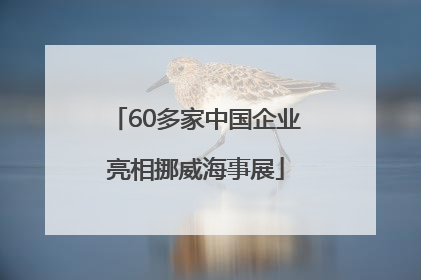 60多家中国企业亮相挪威海事展