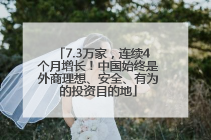7.3万家，连续4个月增长！中国始终是外商理想、安全、有为的投资目的地