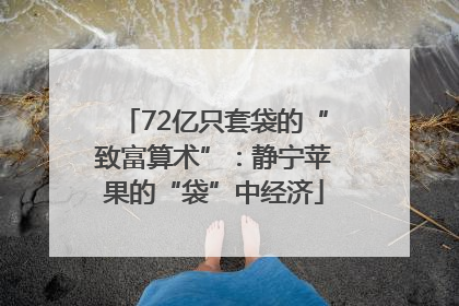 72亿只套袋的“致富算术”：静宁苹果的“袋”中经济