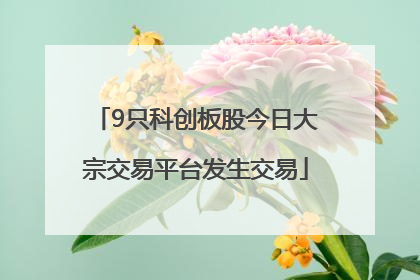 9只科创板股今日大宗交易平台发生交易