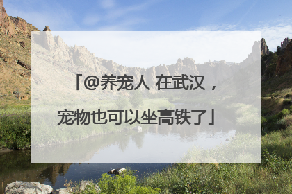 @养宠人 在武汉，宠物也可以坐高铁了