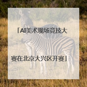 AI美术现场竞技大赛在北京大兴区开赛