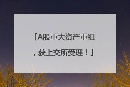 A股重大资产重组，获上交所受理！
