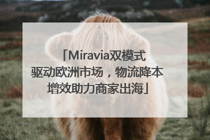Miravia双模式驱动欧洲市场，物流降本增效助力商家出海