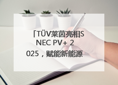 TÜV莱茵亮相SNEC PV+ 2025，赋能新能源产业高质量发展